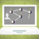 Exploring Darknet Markets Onion in 2025